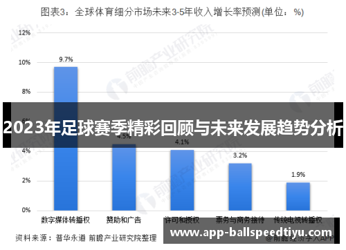 2023年足球赛季精彩回顾与未来发展趋势分析